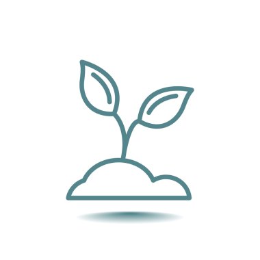 bitki Filiz simgesi