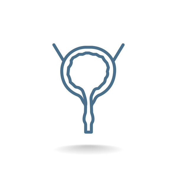 Urinary bladder icon