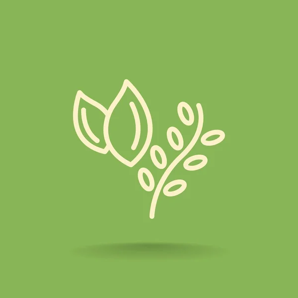 Cooking herbs, plants food icon — Stock Vector