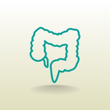 insan kalın bağırsak simgesi