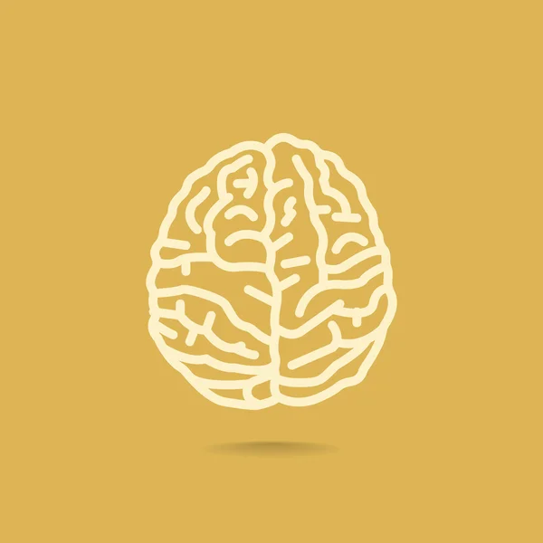 Human Brain Icon — Stock Vector