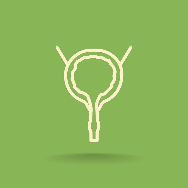 Urinary bladder icon