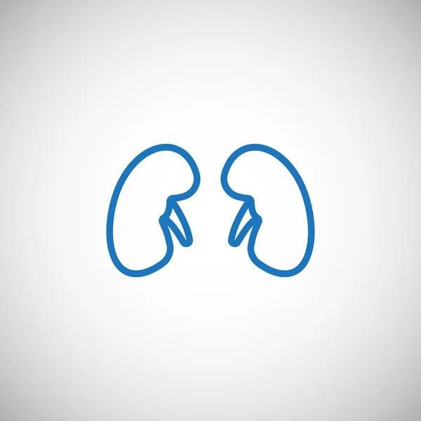 Kidneys medicine icon — Stock Vector