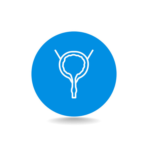 Urinary bladder icon
