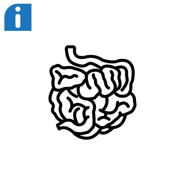 Icono de intestino delgado — Vector de stock