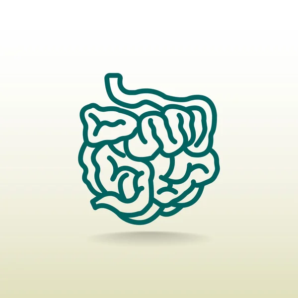 Small intestines icon — Stock Vector