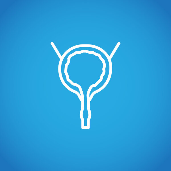 Urinary bladder icon