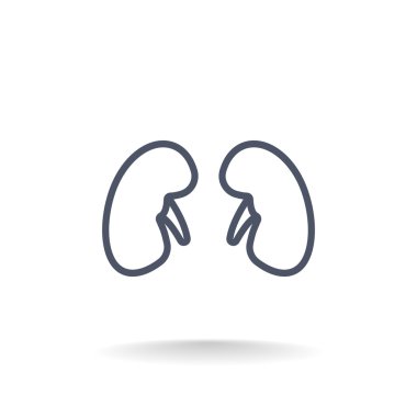 Böbrek organ simgesi