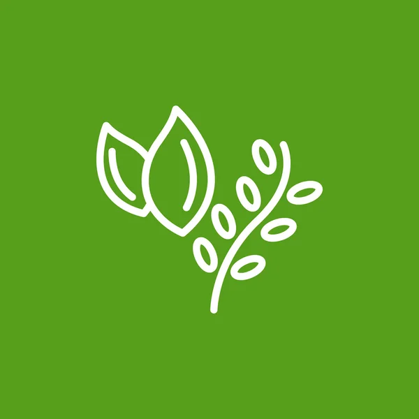 Cooking herbs, plants food icon — Stock Vector