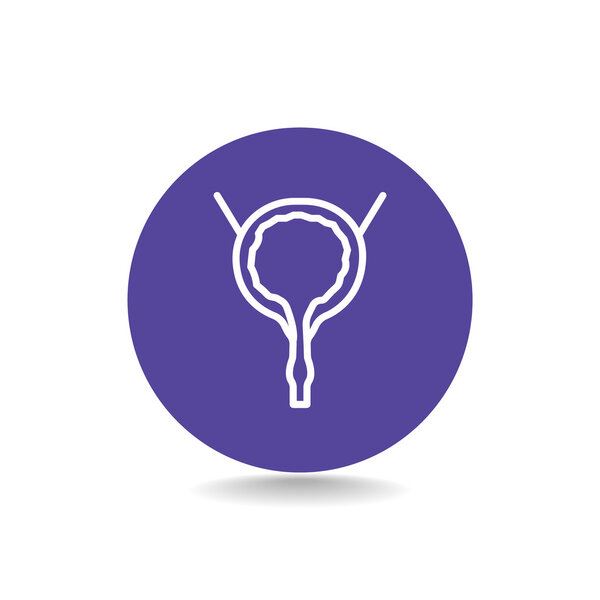 Urinary bladder icon