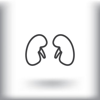 İnsan böbrekler simgesi