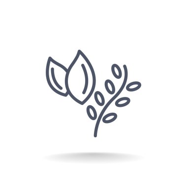 otlar, bitkiler gıda simge pişirme