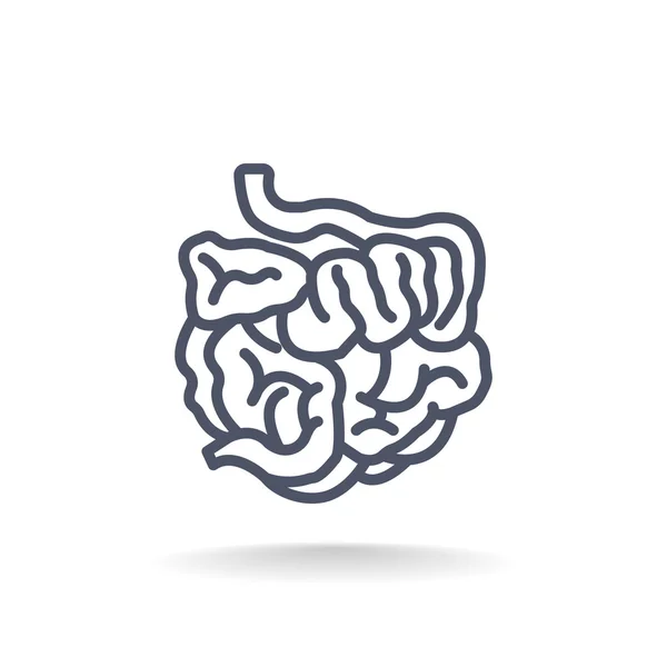 Icono del intestino delgado humano — Vector de stock