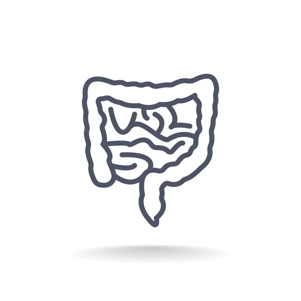 Icono de intestinos humanos — Vector de stock