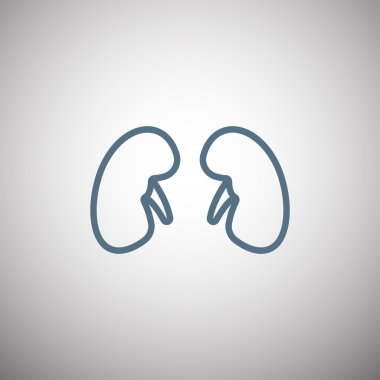 İnsan böbrekler simgesi