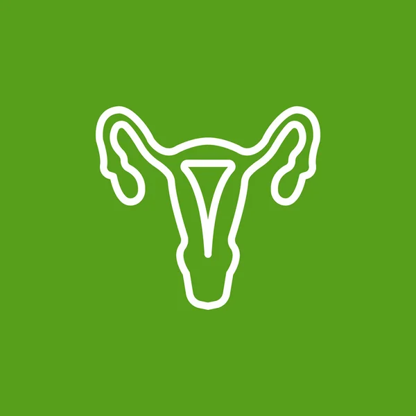 Anatomy gynecology icon — Stock Vector