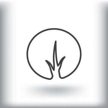 ağacın üst dalları