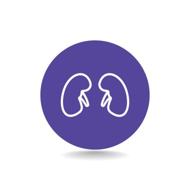 İnsan böbrekler simgesi