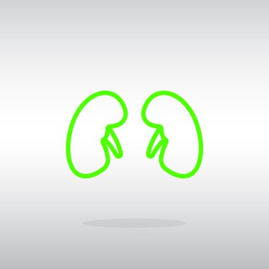 İnsan böbrekler simgesi