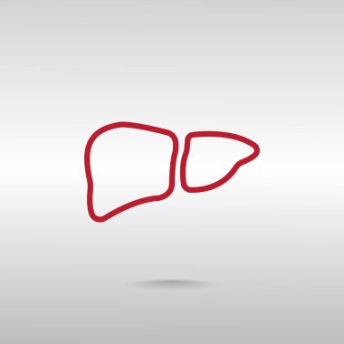 İnsan karaciğer organ simgesi