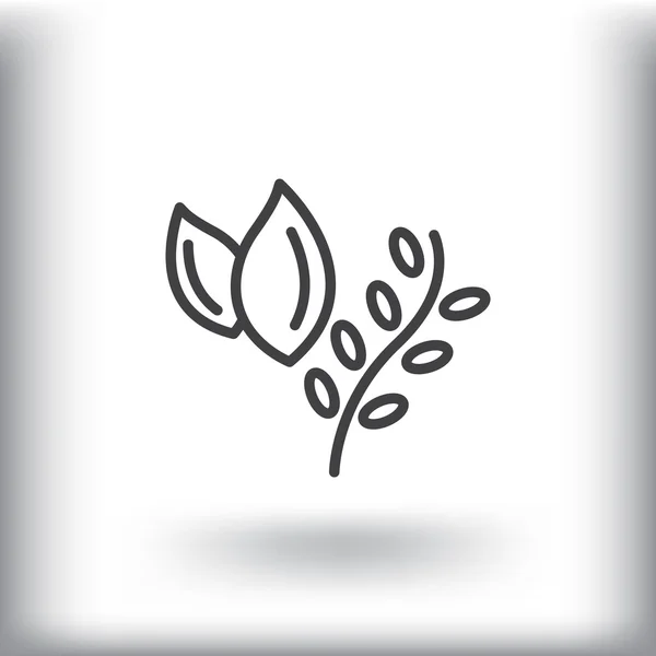 Cooking herbs, plants food icon — Stock Vector