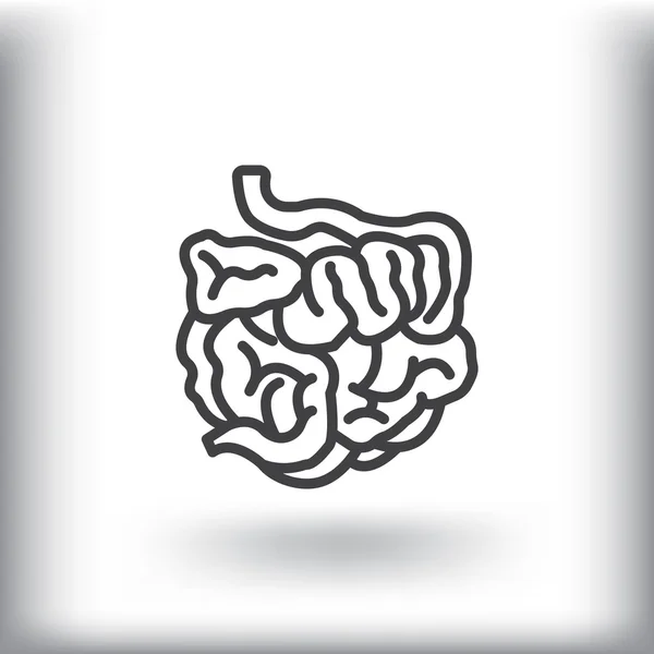 Icono del intestino delgado humano — Vector de stock