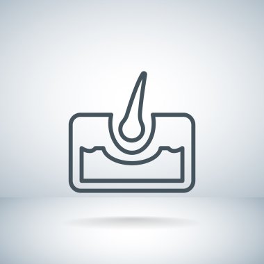 saç anatomisi simgesi 