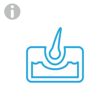 saç anatomisi simgesi 