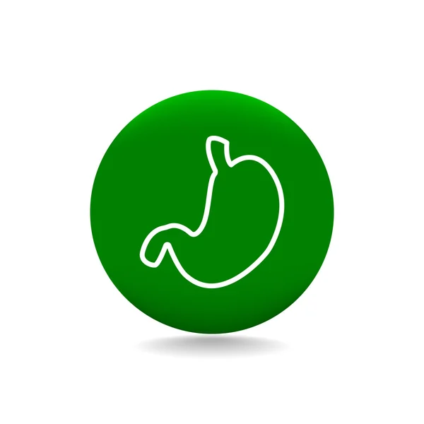 Human stomach icon — Stock Vector