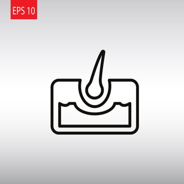 saç anatomisi simgesi 