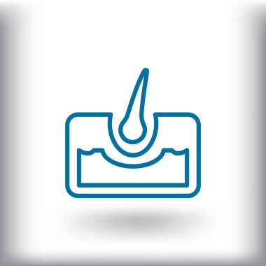 saç anatomisi simgesi 