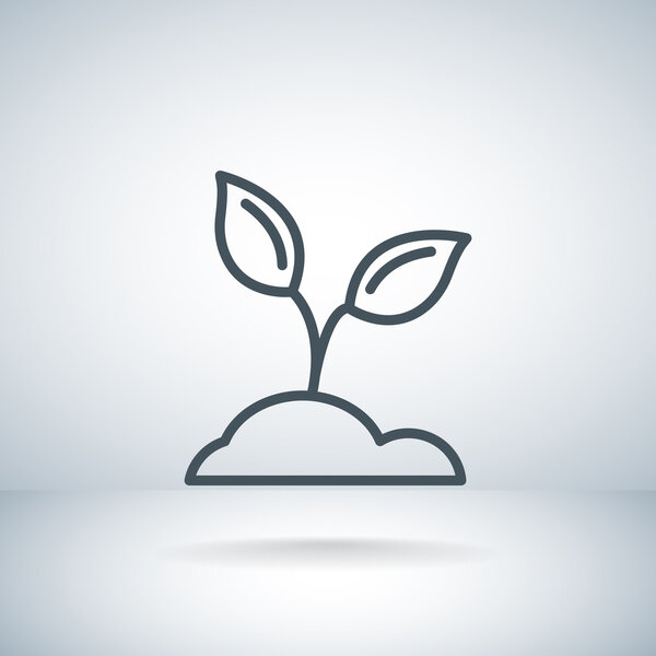 иконка ботаники
