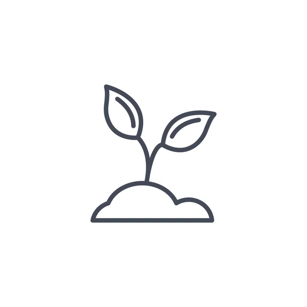 Sprout spindelväv ikonen — Stock vektor