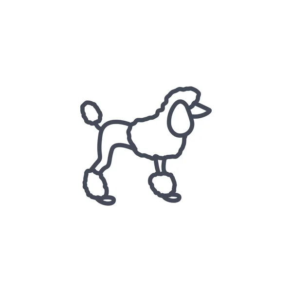 Caniche perro icono . — Vector de stock