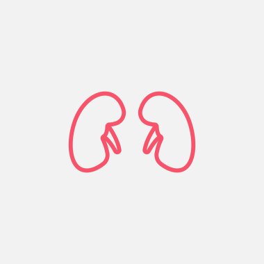 Böbrekler web simgesi