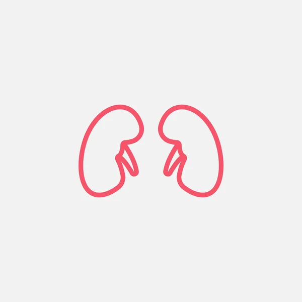 Kidneys web icon — Stock Vector