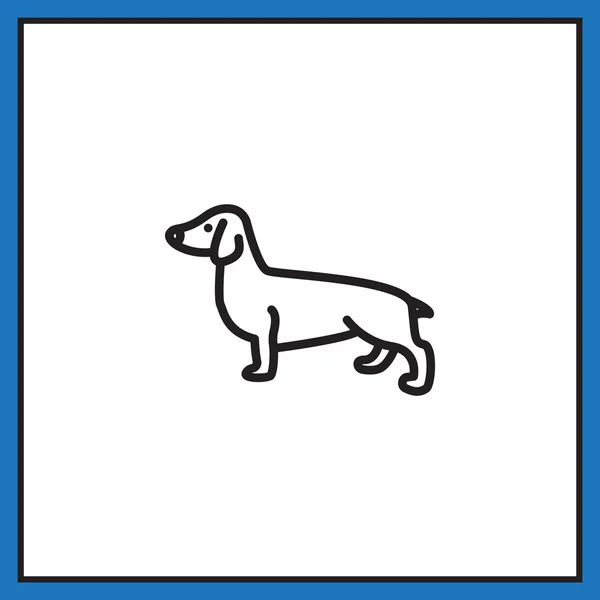 Ícone cão dachshund . — Vetor de Stock