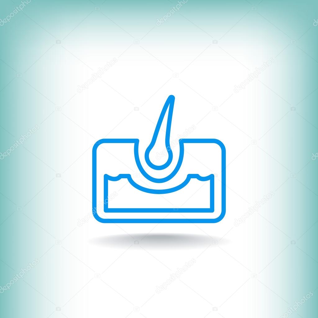 Hair web icon . Vector illustration