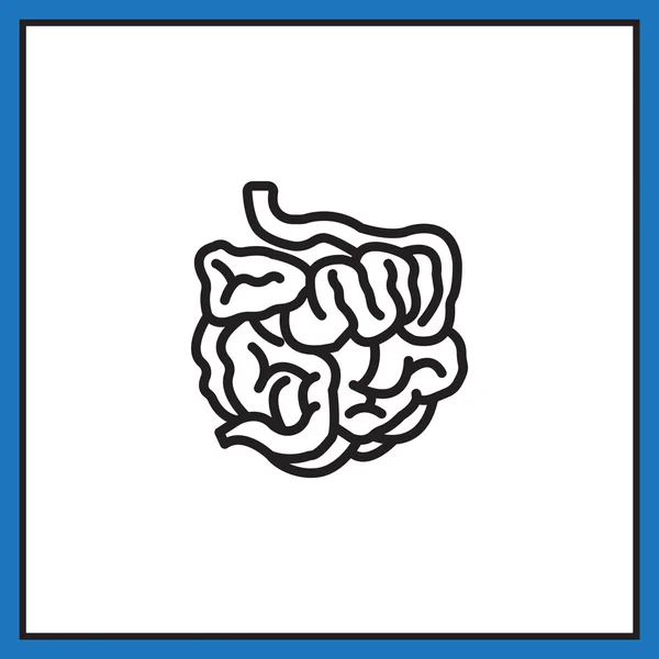 人类小肠图标 — 图库矢量图片
