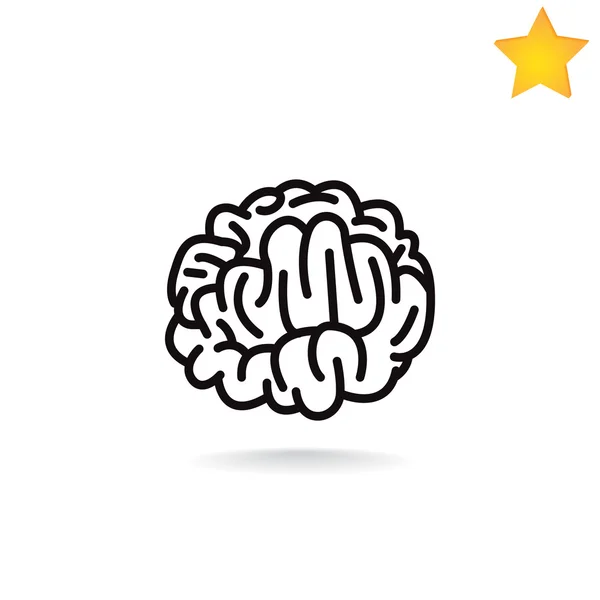 Human Brain organ icon — Stock Vector