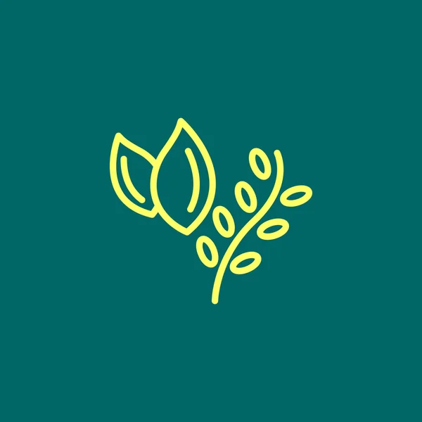 Bylin, rostlinných potravin ikonu — Stockový vektor