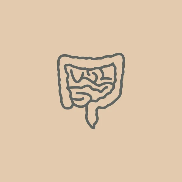 Anatomia intestinos ícone — Vetor de Stock