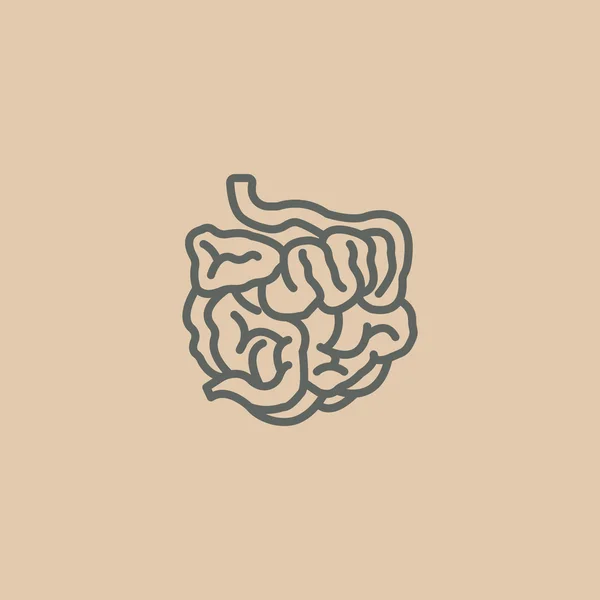 Icono del intestino delgado — Vector de stock