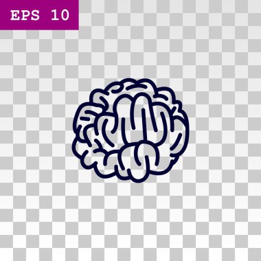 Beyin anatomisi simgesi