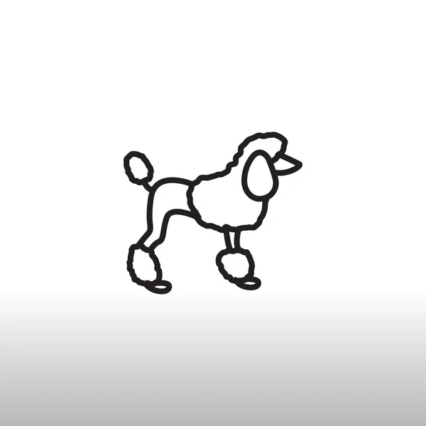 Pudla psem ikonu — Stockový vektor