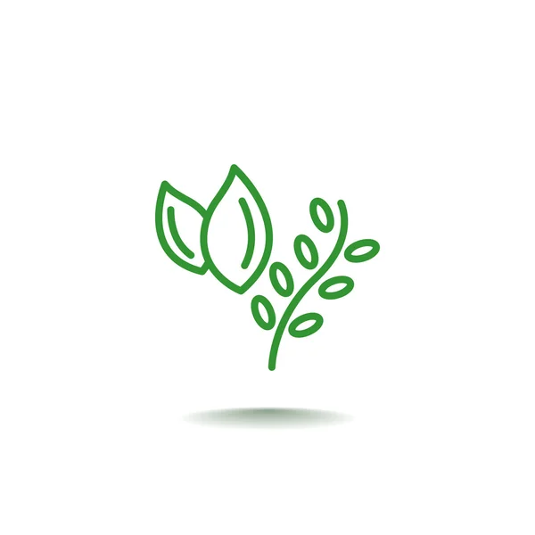 Herbs, plant food icon — Stock Vector