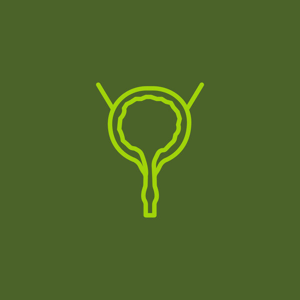 urinary bladder organ icon