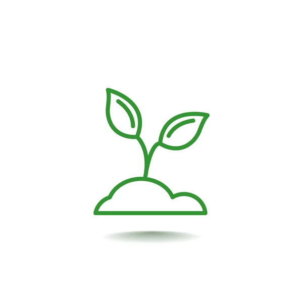 Plant sprout icon — Stock Vector