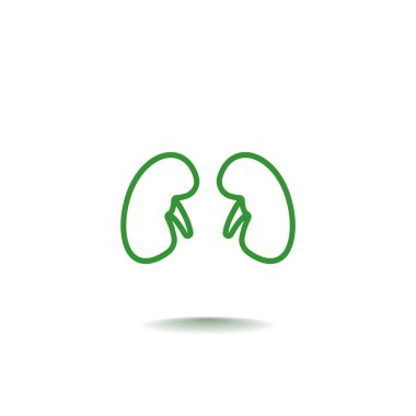 İnsan böbreği organ simgesi