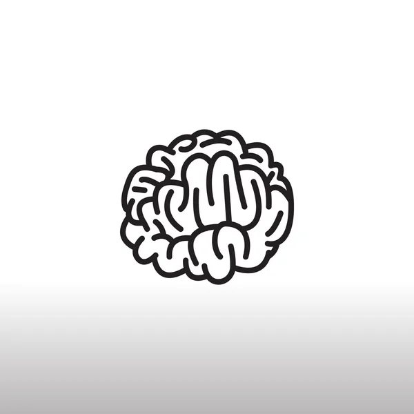 Brain anatomy Icon — Stock Vector